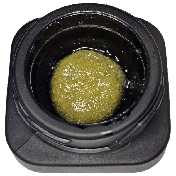 1G DOS SI DOS 33 Sugar/bho Índico