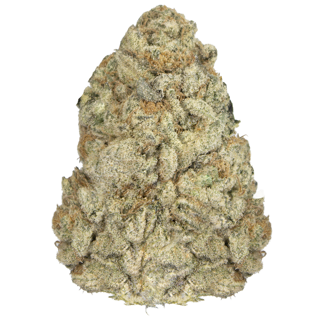 CAKE CRASHER indoor Dic'25