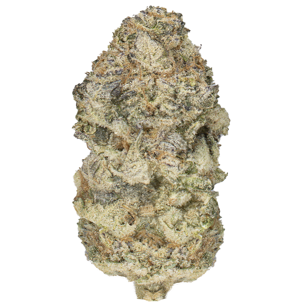 PINEAPPLE FRUZ indoor Sept'25
