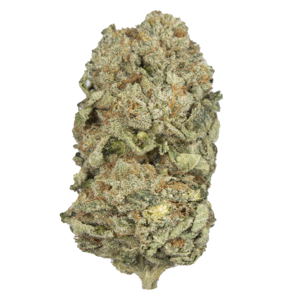 ZKITTLEZ 3.0 indoor Nov'25