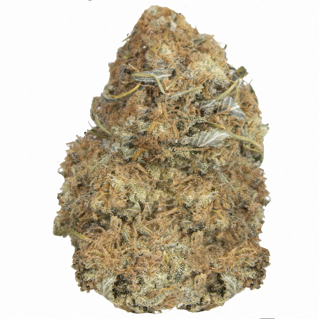 GORILLA GLUE #4 indoor Feb'26