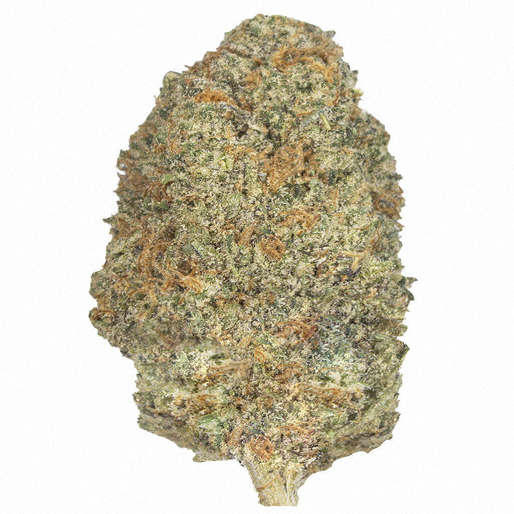 L.A. CONFIDENTIAL indoor Feb'26