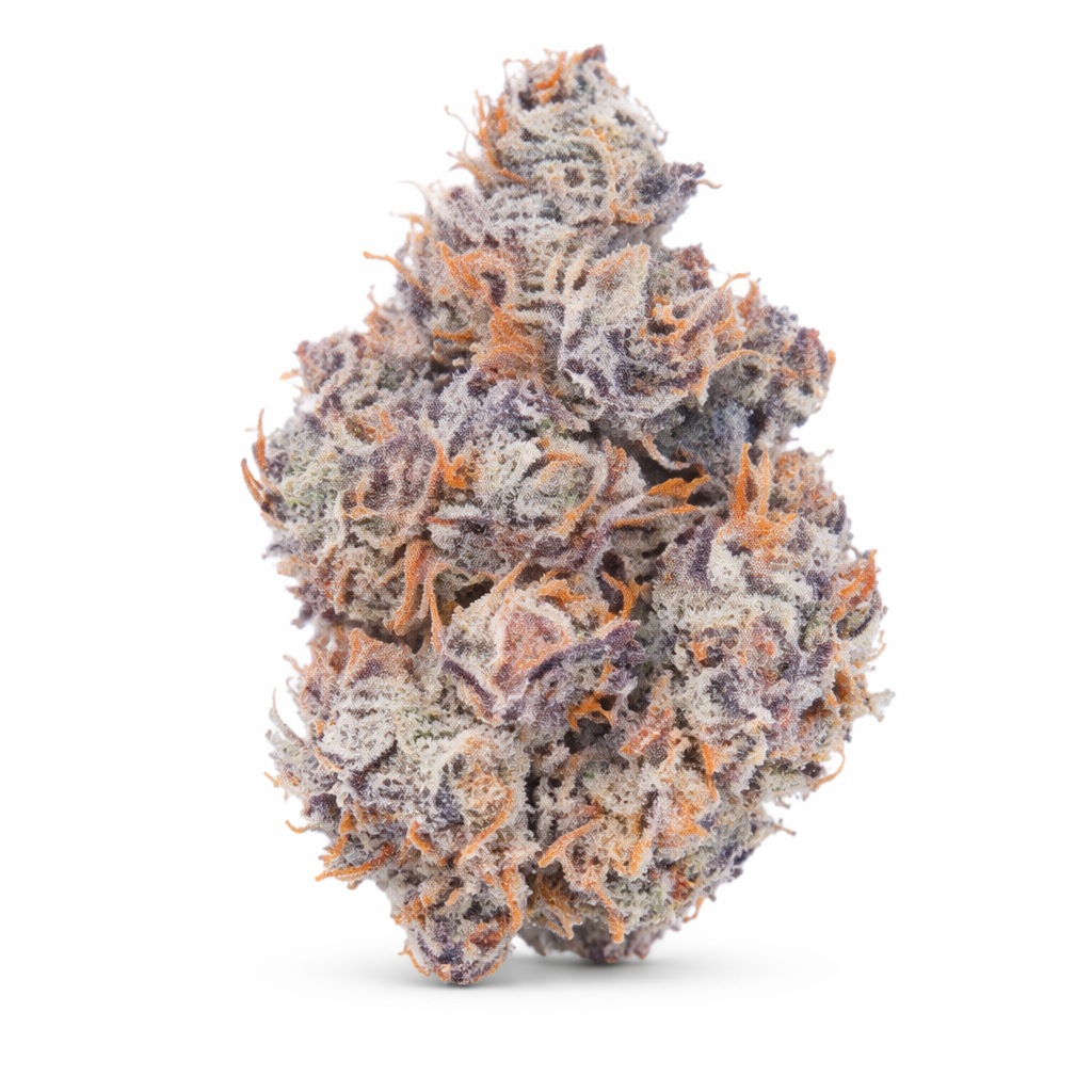 MON CHERRY indoor Feb'26