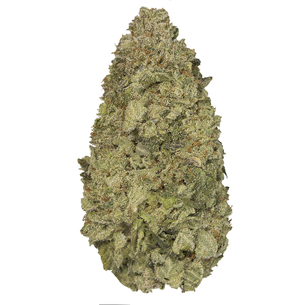 POWER KUSH indoor Abr'26