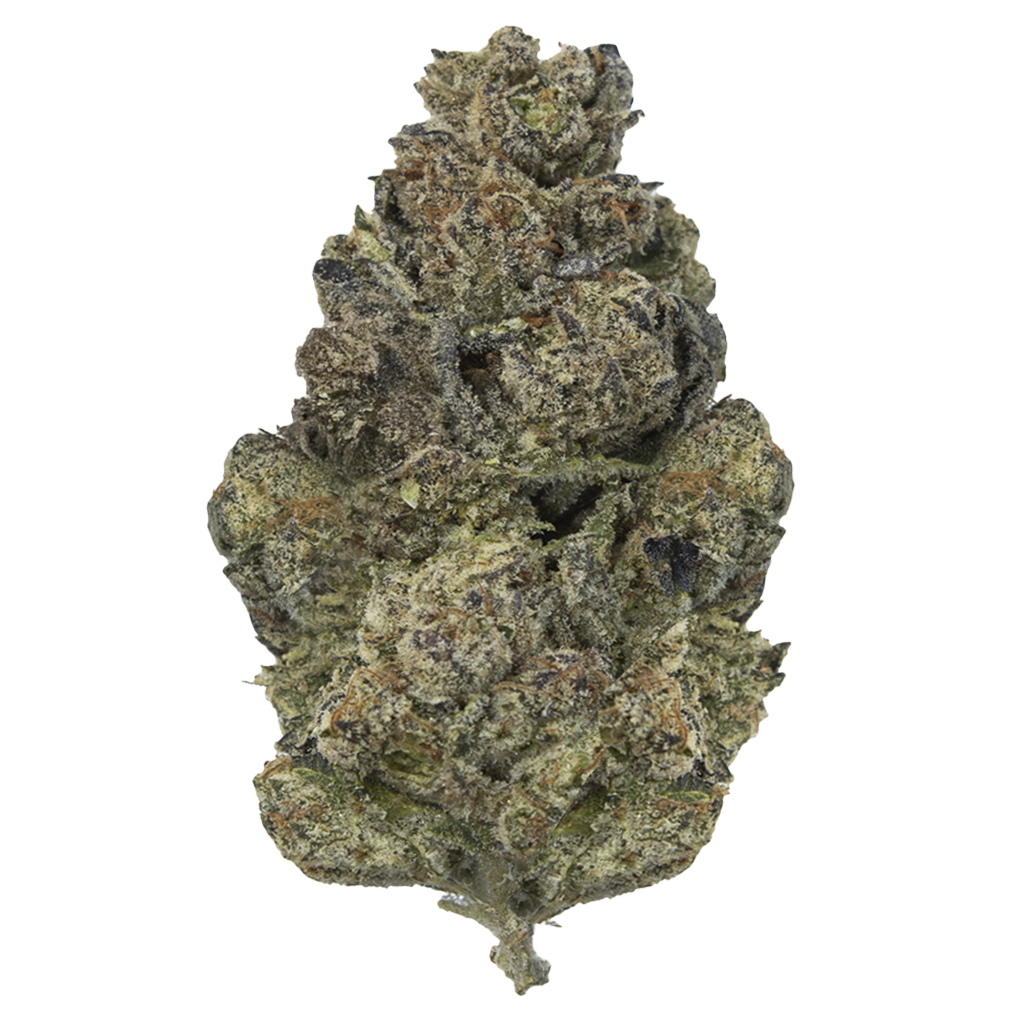 DIRTY CANDY indoor May'26