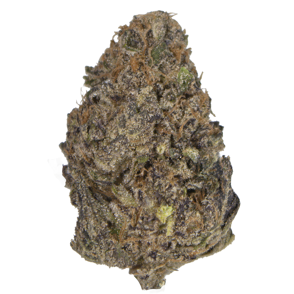 LEMON CHERRY GELATO indoor Jun'26