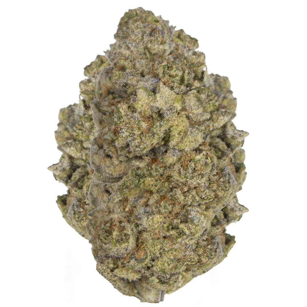 SHERBERT indoor Jun'26