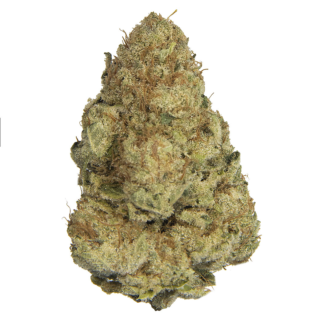 BANANA PUNCH indoor Ago'26