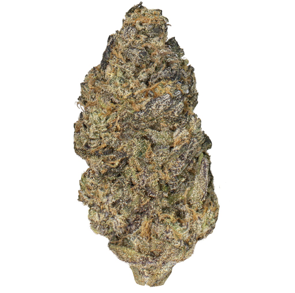 GRANDDADDY PURPLE indoor Sept'26