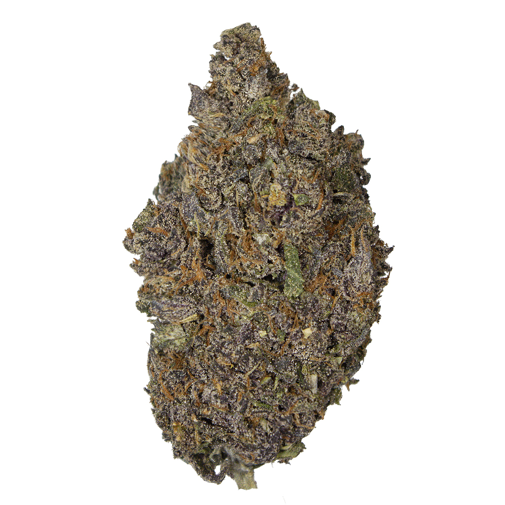 PURPLE PUNCH indoor Mar'25