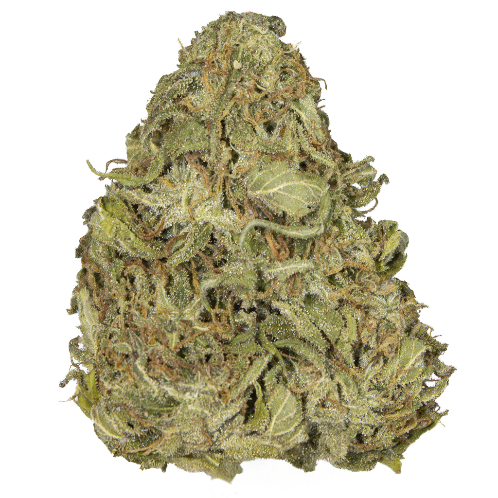 GELATO SORBET outdoor Abr'25