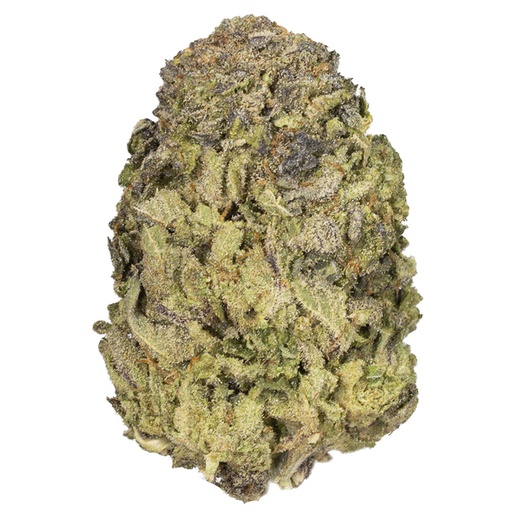 [TOOMUCH/M2512] TOO MUCH X BBO indoor Dic'25