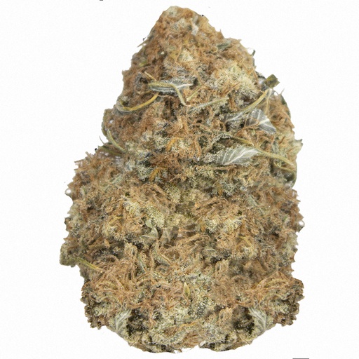 [GG4/A2510] GORILLA GLUE #4 indoor Oct'25