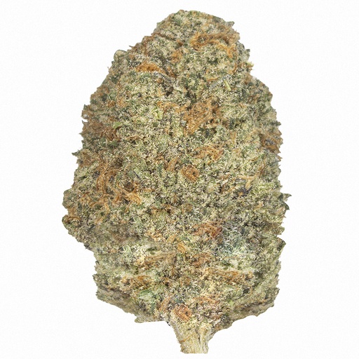 [RM/LACON/SE2602] L.A. CONFIDENTIAL indoor Feb'26