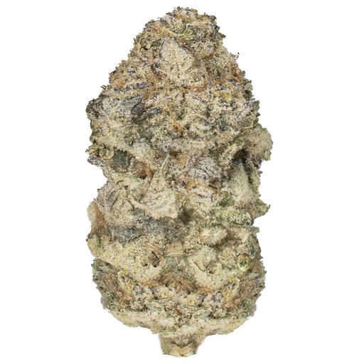 [RM/PFRUZ/SE2602] PINEAPPLE FRUZ indoor Feb'26