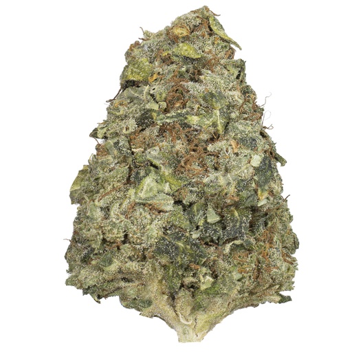 [RM/AMNLEM/MC2603] AMNESIA LEMON indoor Mar'26