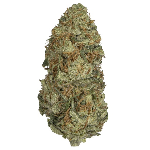 [RM/RAINRO/A2604] RAINBOW ROAD indoor Abr'26